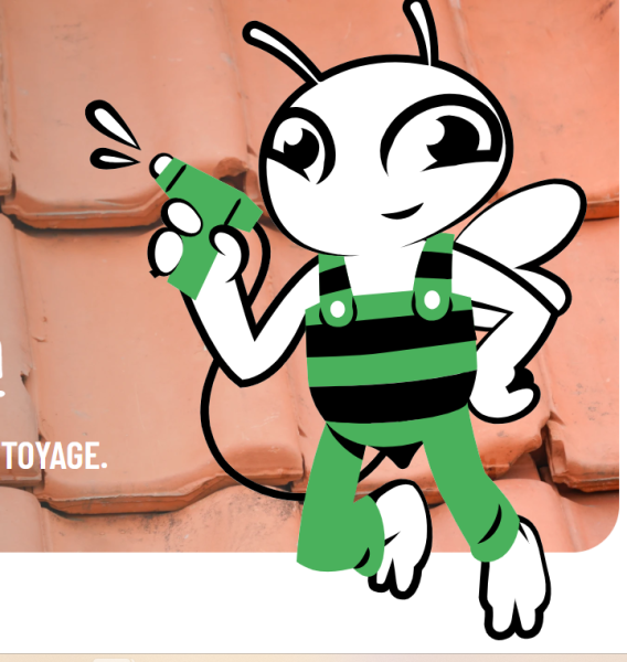 Démoussage de toiture en tuiles terre cuite de Bourgogne 