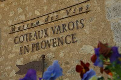 caviste cave cooperative brignoles en provence paca 83