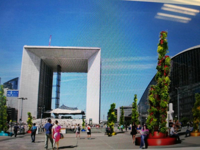 Installation de colones et élévations végéralisées pour espaces publics ou d'entreprise sur Paris dans le 75