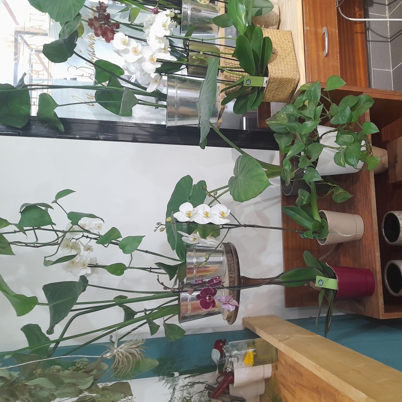 où trouver un bouquet de fleurs pour des mariages à Lavérune