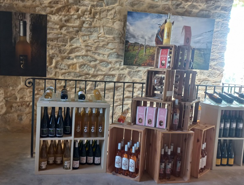 où trouver un domaine avec salle de réception pour mariage avec hébergement sur Baillargues à côté de Castries