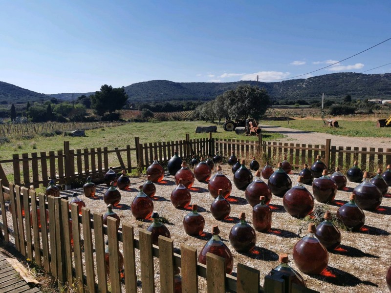 Trouver un domaine viticole pour entreprise avec dégustation et initiation au muscat sur le Bassin de Thau proche de Montpellier dans l'Hérault