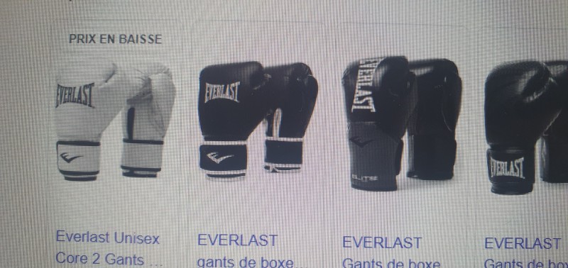 Gants de marque Everlast à Nimes dans le GARD