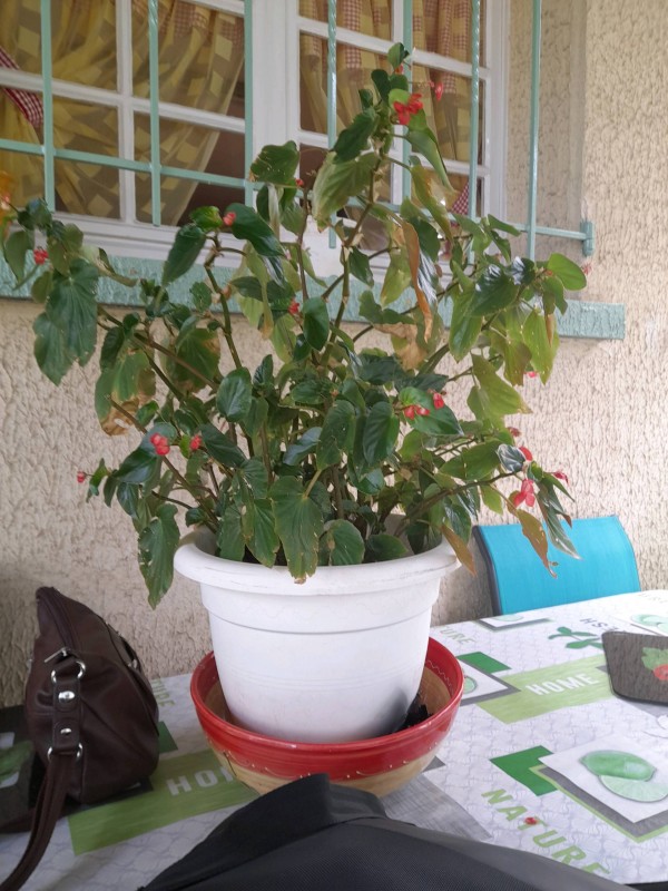 Vous recherchez un soin santé sur Montpellier dans l'Hérault