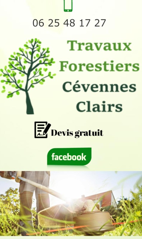 Entreprise spécialisée dans l'abattage d'un arbre à Alès proche de Nîmes