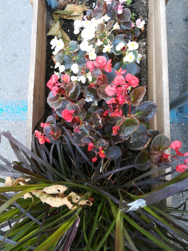 Où trouver un jardinier pour l'entretien de ces espaces verts et le débroussaillage de ces terrains sur Lunel à côté de Sommières