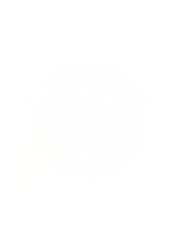 location de vaisselle et matériel de réception pour un mariage à Carpentras dans le Vaucluse