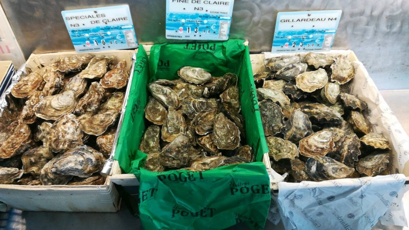 Où trouver un plateau d'huîtres d'exception proche de Sanary?