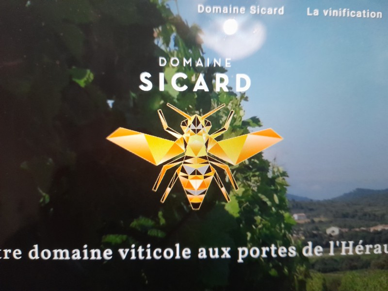 où acheter un vin rouge de qualité supérieure à Montpellier dans l'Hérault