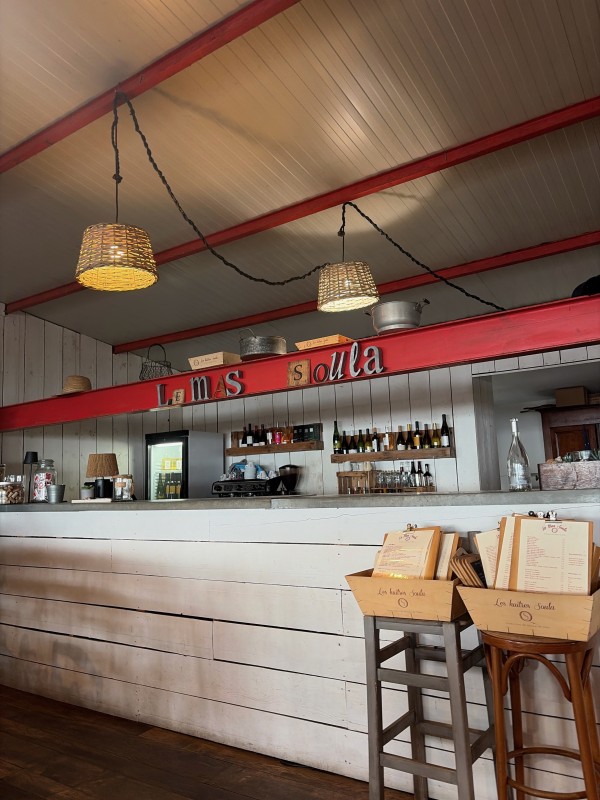  manger des huîtres dans un masse à Mèze, proche de Sète 