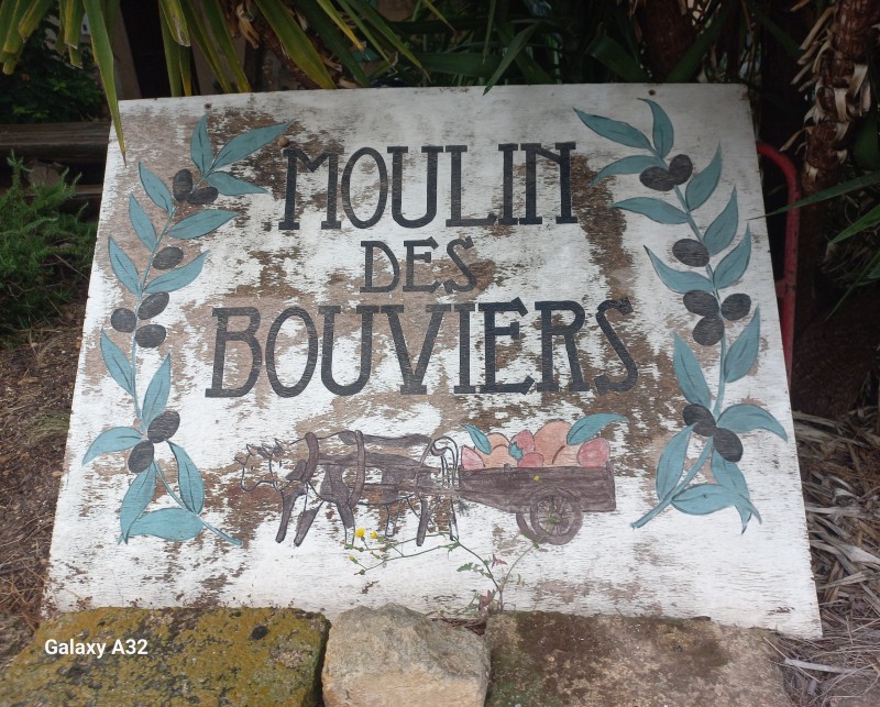 vente directe au moulin d'huile d'olive fabriquée  artisanalement  à Nîmes proche de Montpellier