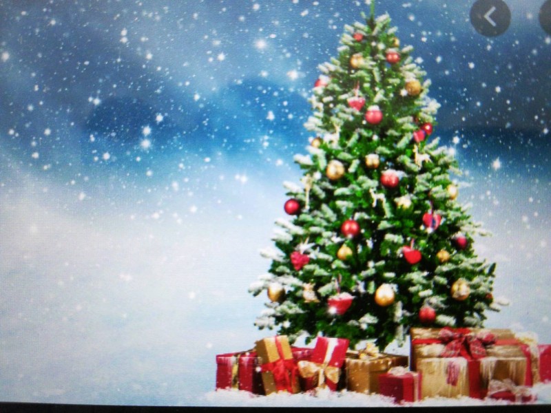 Où organiser son arbre de Noël d'entreprise  avec animation pour les enfants sur Montpellier à côté de La Grande-Motte