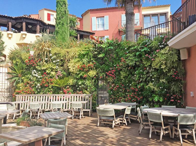 Réaliser un mur végétal extérieur sans entretien pour votre restaurant à St Tropez (PACA) 
