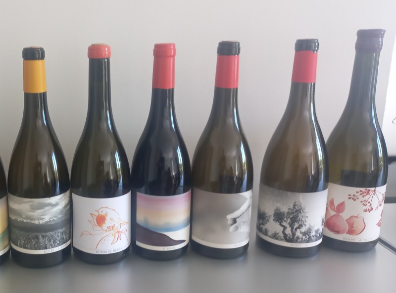 domaine viticole pour dégustation de vin rouge naturel et biodynamique sur Montpellier proche Sommières