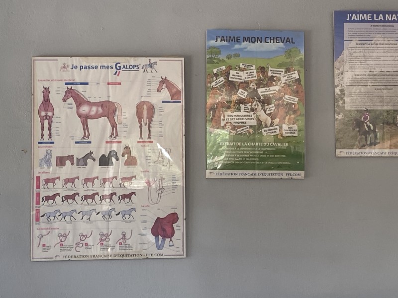  Organisation de concours à Mauguio proche de Nîmes 
