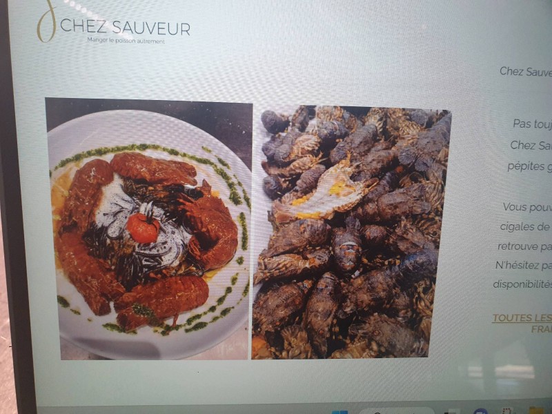 Où trouver traiteurs proche du Cres pour manger des sèches