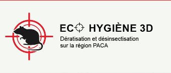 Entreprise spécialisée dans le traitement et l'éradication de punaises de lit à Marseille et dans les Bouches du Rhône
