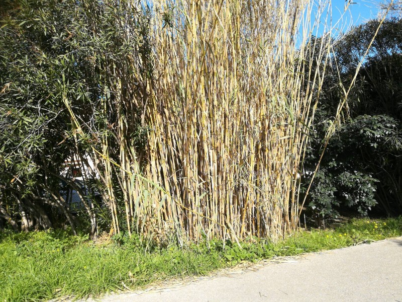 Société spécialisée dans l'installation la construction de bâtiment agricole avec panneau photovoltaïque sur Nîmes à côté de Montpellier