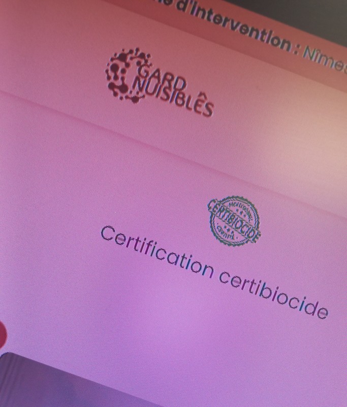 spécialiste de la désinsectisation de rampant et volant à Beaucaire dans le Gard près de Nîmes