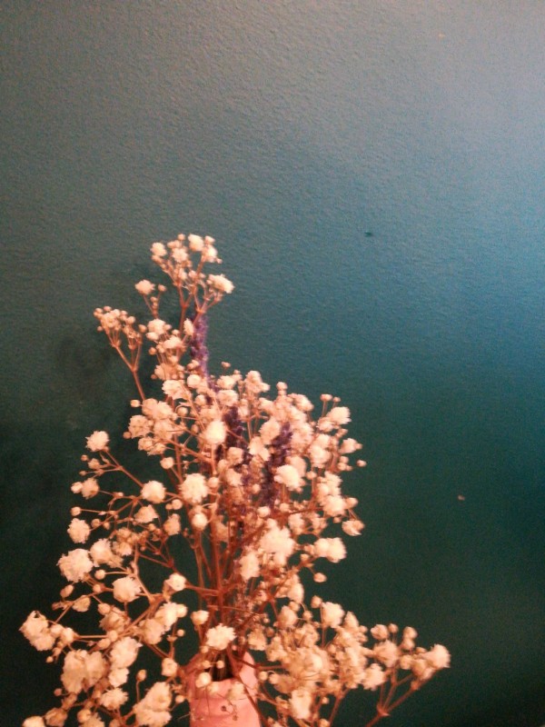 Entretien des espaces verts de jardin et création de jardin paysager sur Alès à côté d'Anduze