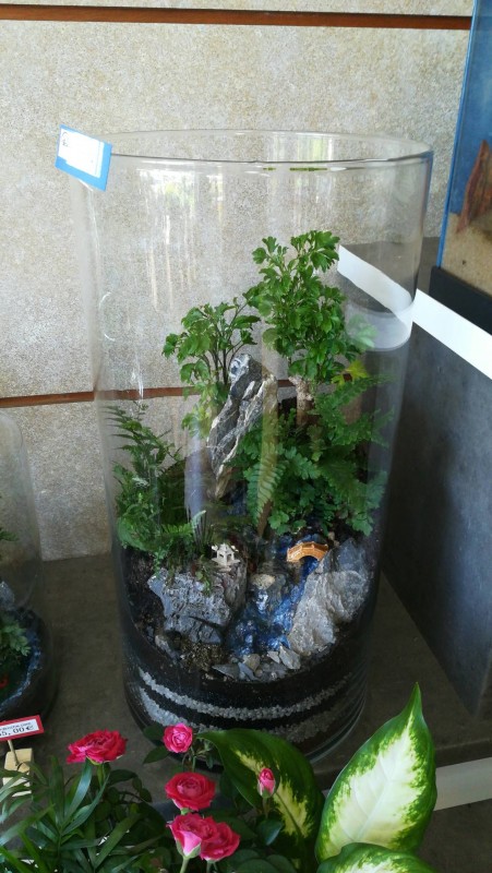 terrarium à petit prix à martigues