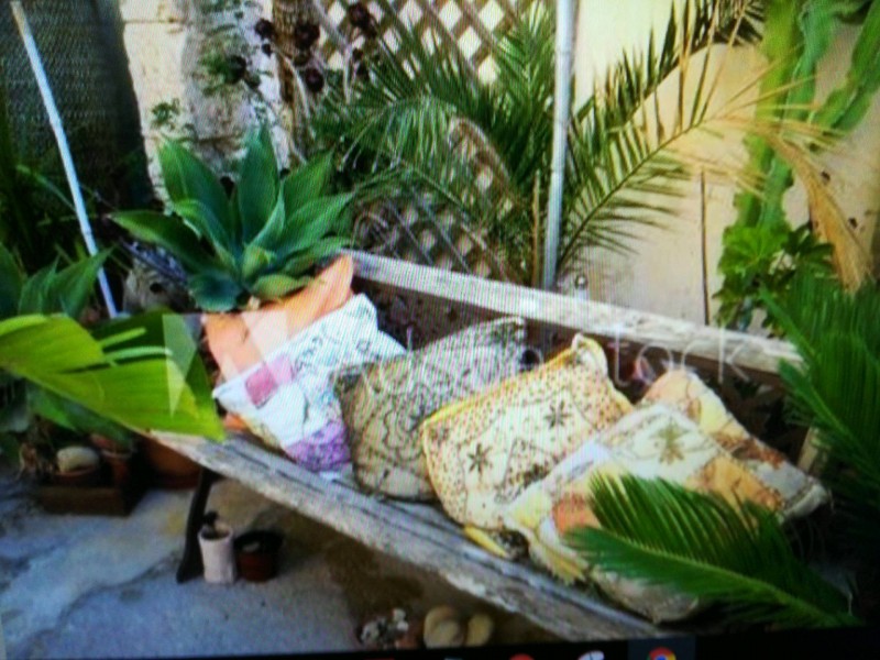 Réalisation et création d'un jardin provençal avec bassin sur Saint-Rémy-de-Provence à côté de Maussane-les-Alpilles