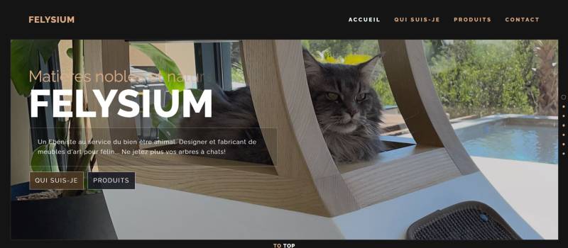 Acheter un arbre à chat haut de gamme à Paris et ses alentours