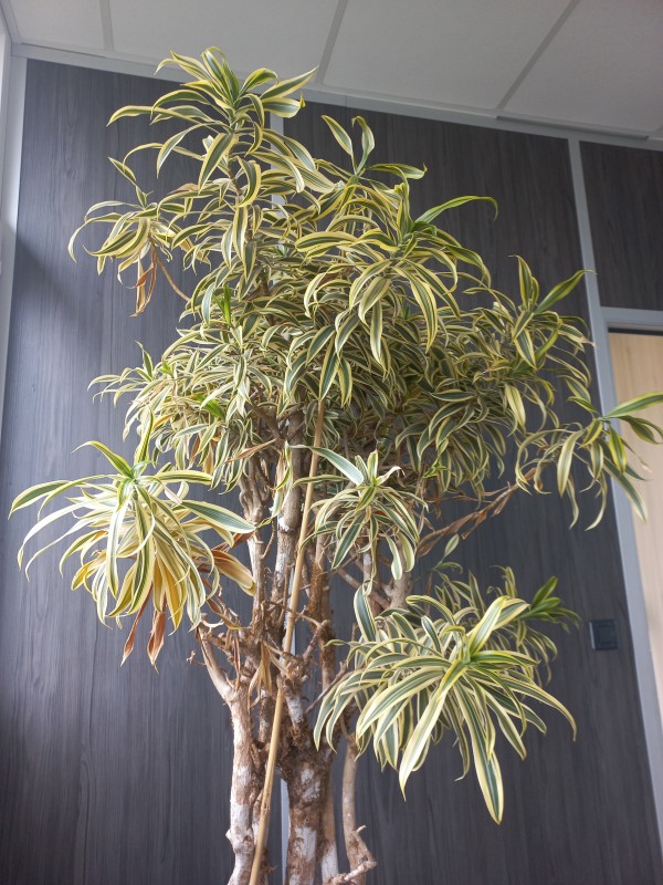 ou privatiser un bar à bière pour faire une soirée entre collègues à Montpellier proche La Grande-Motte