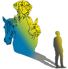 Centre équestre pour sejour cheval bien être en groupe à Gap dans les Hautes alpes proche de aix en provence