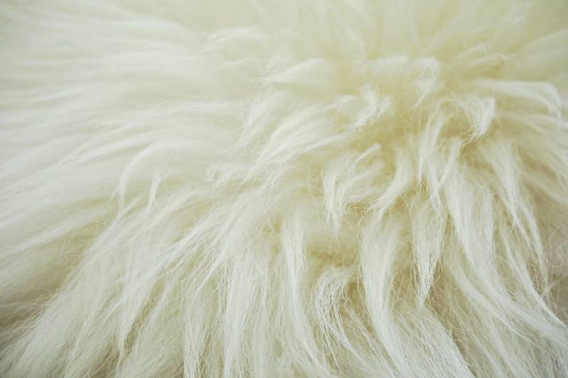 Les différentes formes d'utiliser un tapis en peau de mouton en tant que décoration dans un salon Genève en Suisse 