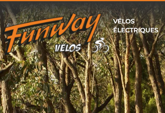 vente vélo électrique vtt trek à Toulon dans le var  