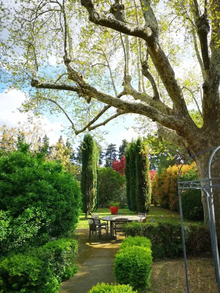 Jardin provençal avec platanes centenaires au Mas Saint Pierre entre Avignon et Saint-Rémy-de-Provence