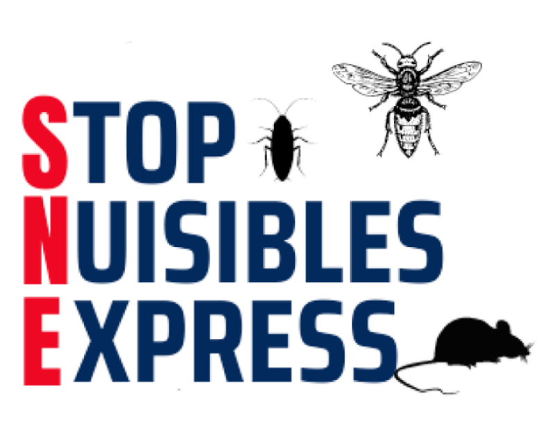 Produit anti cafard professionnel goliath sur Nîmes dans le Gard