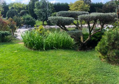 entreprise de jardinier paysagiste pour création et aménagement d'un jardin de type méditerranéen sur Nîmes proche d'Arles.