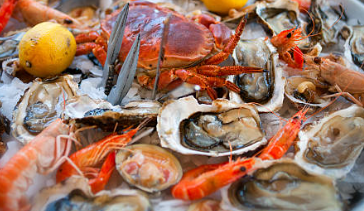 Où commander et faire  préparer un plateau de fruits de mer sur Calvisson à côté de Sommières