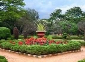 entreprise espaces verts entretien jardin copropriete tonte taille draguignan flayosc var