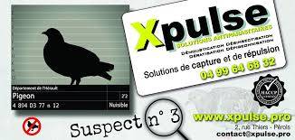 OU TROUVER UN DERATISEUR A Montpellier