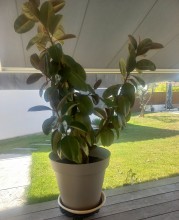 Nos prestations sur le secteur de Aubagne