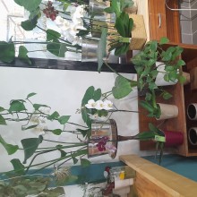 Notre zone d'activité pour ce service idée déco pour une boutique de vêtement à