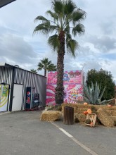 Notre zone d'activité pour ce service architecte d'intérieur pour aménagement start up