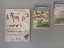 Notre zone d'activité pour ce service idée d'aménagement et déco pour restaurant cosy à