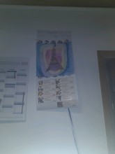 Notre zone d'activité pour ce service idée de décoration pour open space dans le digital à