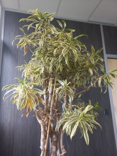 Nos prestations sur le secteur de Plan de campagne