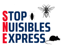 Nos prestations sur le secteur de Montpellier